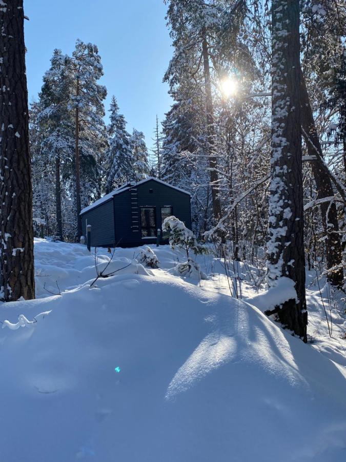 Tammikon Tupa Villa Tuusula Kültér fotó